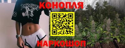 сатива Будённовск