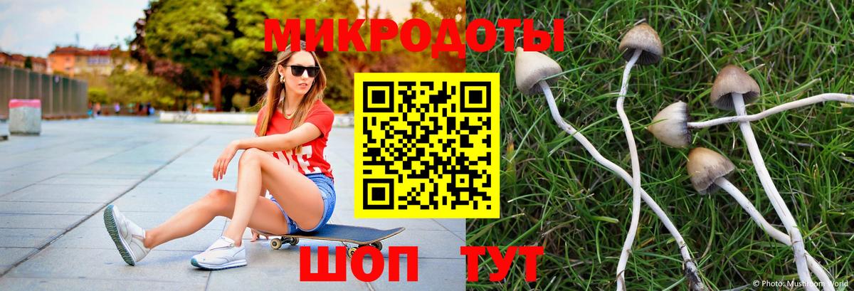 Галлюциногенные грибы GOLDEN TEACHER  Вход с VPN  Ростов Великий 